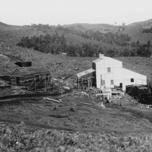 Muir's Reef, Te Puke, 1917-1928, (Place)