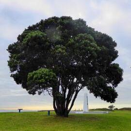 George Cross Island Association Plaque (Mount Maunganui) 