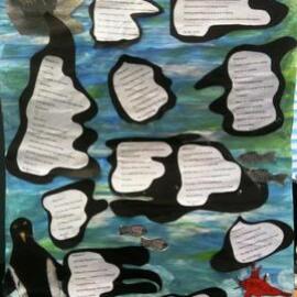 Maungatapu School's Rena Project  (2011)