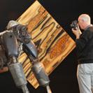 Sculpture by Todd Harris (2010)