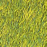 Abstract by Graham Crow