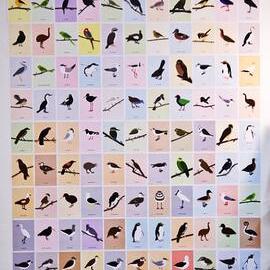 100 Birds in 100 Days by Alice Berry