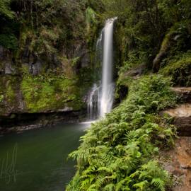 Kaiate, Fern Gully by Ken Wright (2012)