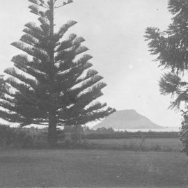 View from Maungawhare