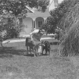 Dora at Maungawhare, Ōtūmoetai