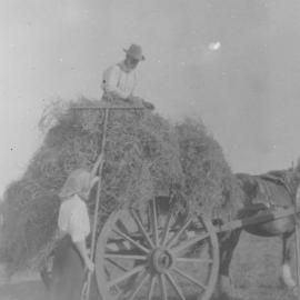Haymaking at Maungawhare, Ōtūmoetai