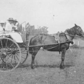 Pony and trap, Keam farm - Welcome Bay