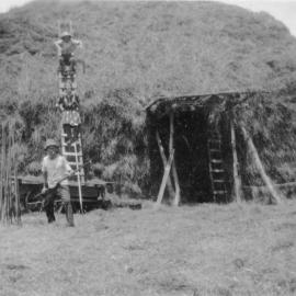 Haystack, Keam farm - Welcome Bay