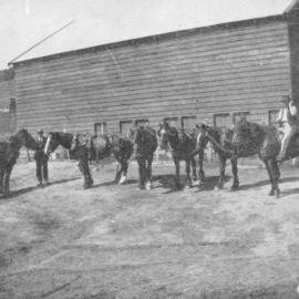 Horses and barn, Keam farm - Welcome Bay