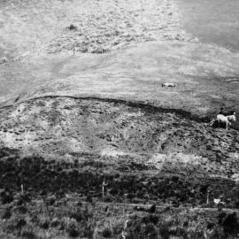 Ploughing, Keam farm - Welcome Bay