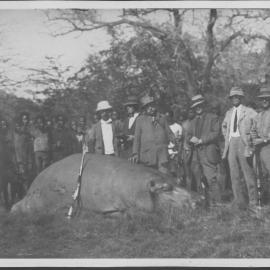 Hunting party with Dead hippo