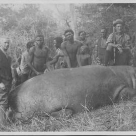 Hunting party with Dead hippo