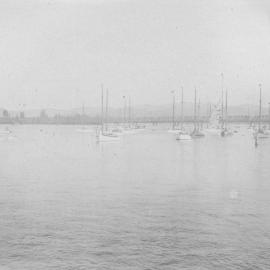 Auckland yachts at Tauranga