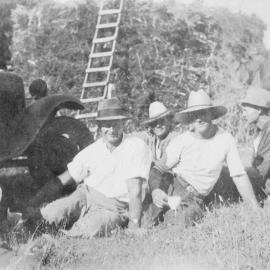 Haymakers at Ōmanawa