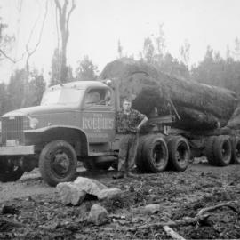 Logging at Poripori