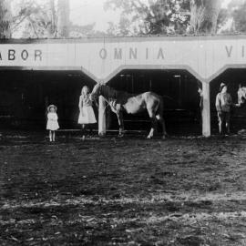 Kelston stables - Cambridge Road