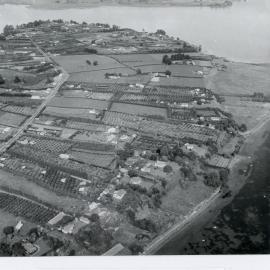 Part of Matua with Levers Road