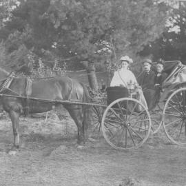 Munro family's spider buggy