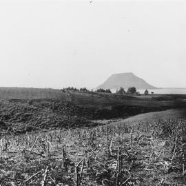 Bureta farm c. 1930s