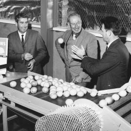 Citrus Marketing - Talbot Hunt