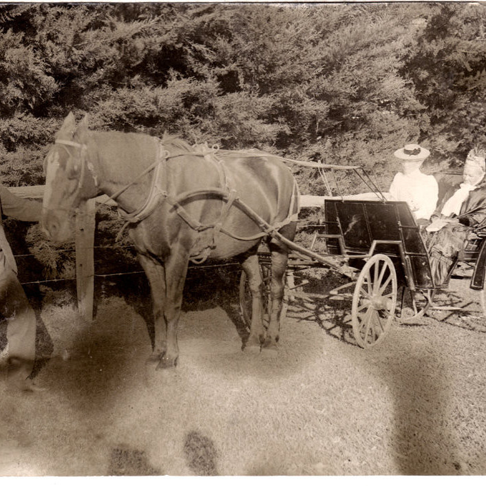2013 Memoir and Local History Competition