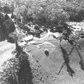Athenree Homestead 1968