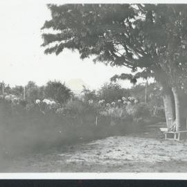 Topcroft garden 1925