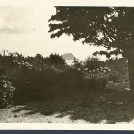 Topcroft garden 1925