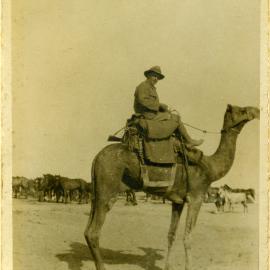 Arnold Henfrey Watson on camel c. 1917
