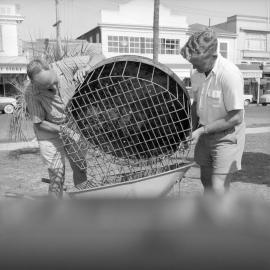 Emptying wishing well BOPT 37