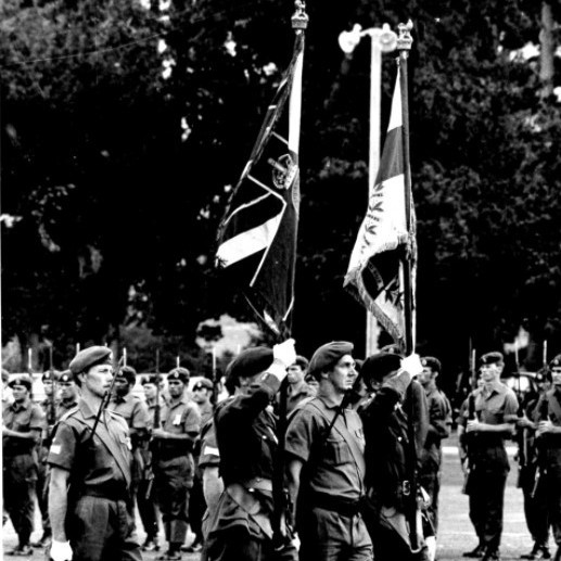 6th Battalion (Hauraki) Regiment Photograph Collection