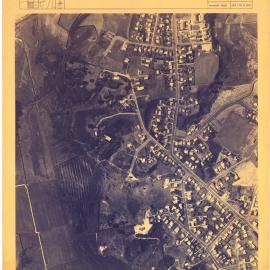 City of Tauranga