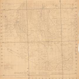 Ōtānewainuku Survey District