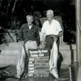 Kingfish and fishermen