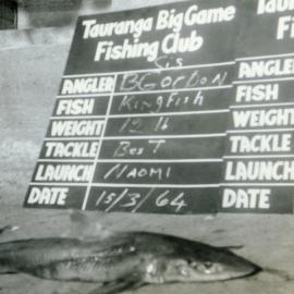 Kingfish
