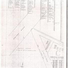 Katikati Cemetery Reserve