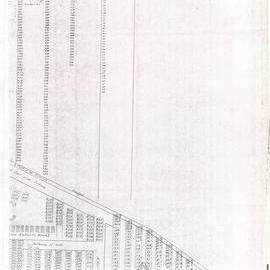 Katikati Cemetery Reserve