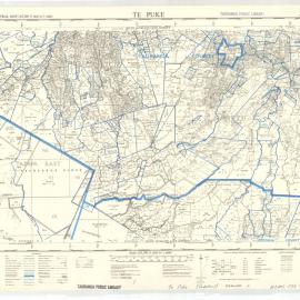 Te Puke : cadastral map