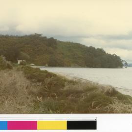 The beach next to Ōtāwhiwhi marae at Bowentown (Ams 248)