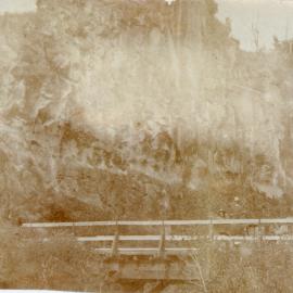 Logging bridge at Whakamārama c. 1910s