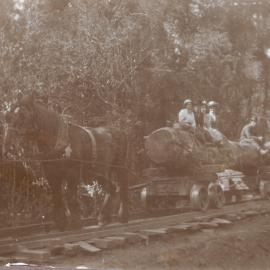 Whakamārama mill tramway c. 1910s