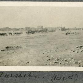 Camels lined up outside of Beersheba