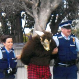 Mount Primary The Gruffalo captured 2011