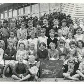 Mount Primary Primer 1 Standard 4 Lesley Davies