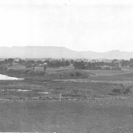 Papahenga swamp, Matua