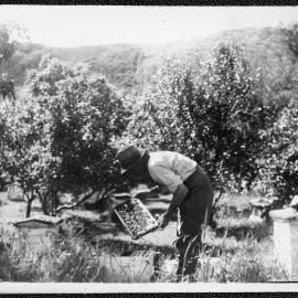 Te mārua Farm, Kaitoke