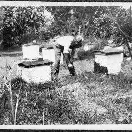 Te mārua Farm, Kaitoke