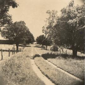Driveway of Matheson farm "Fairview" 1951