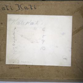 Photograph of aspect of glass plate storage box. 