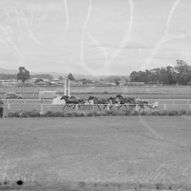 Trotting in Greerton, 1959